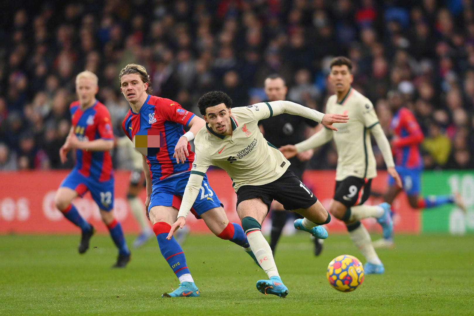 国篮球的潜 国篮球的潜